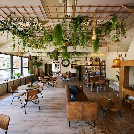 Sandberghe - Plek Om Te Verdwalen 홀리데이파크