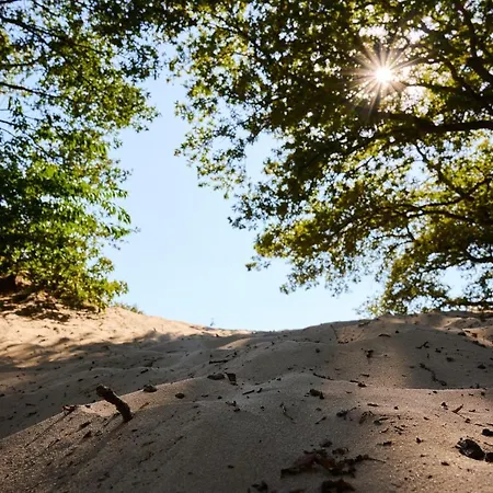 Holiday park Sandberghe - Plek Om Te Verdwalen 3*