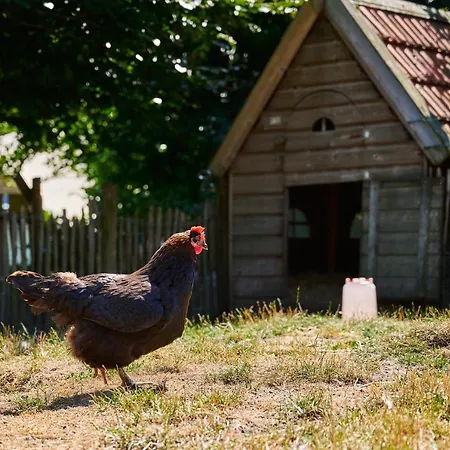 Sandberghe - Plek Om Te Verdwalen Uden