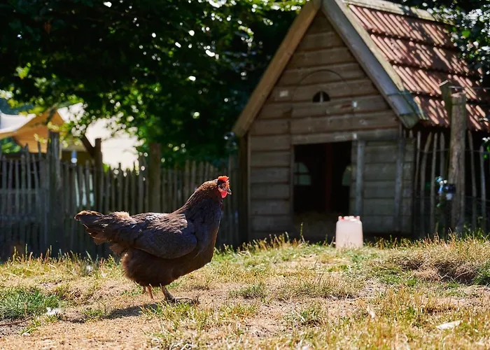 Sandberghe - Plek Om Te Verdwalen Uden